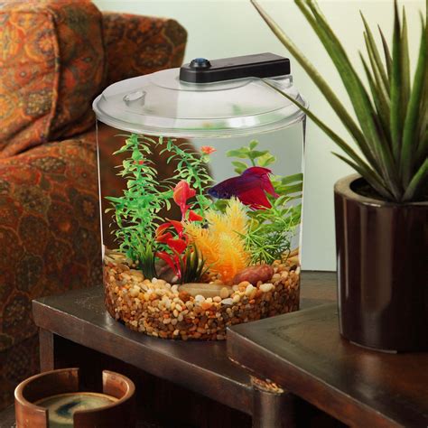 betta 1.5 gallon tank|walmart betta fish tank.